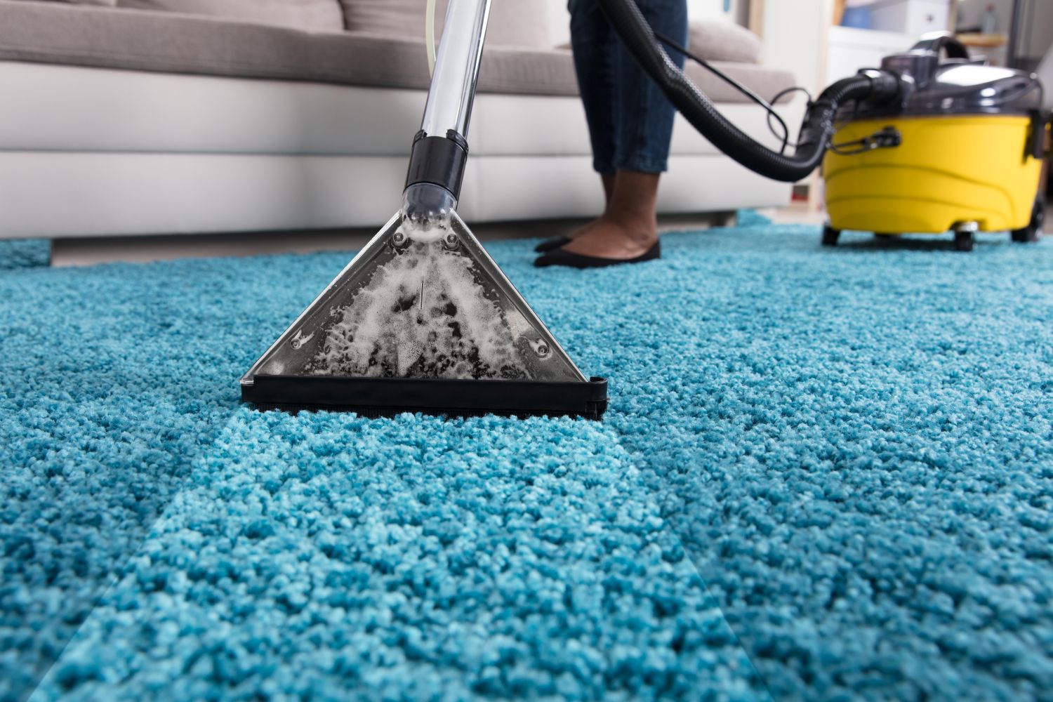 person cleaning carpet